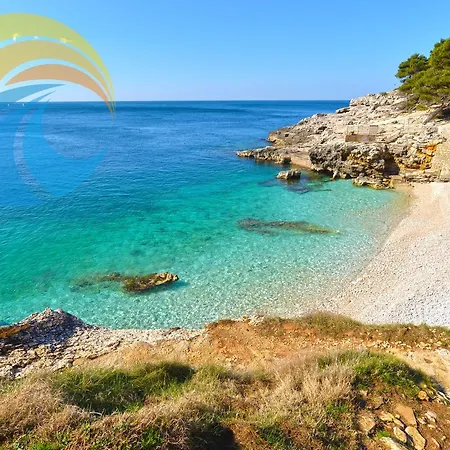 Valter 613 Πούλα